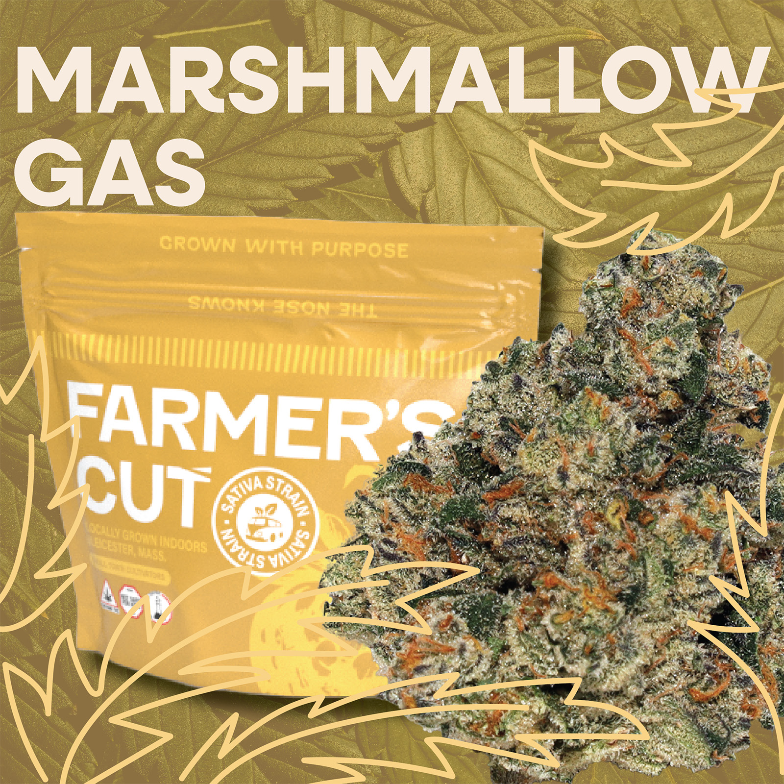Photograph of product: Marshmallow Gas | Flower | 28g