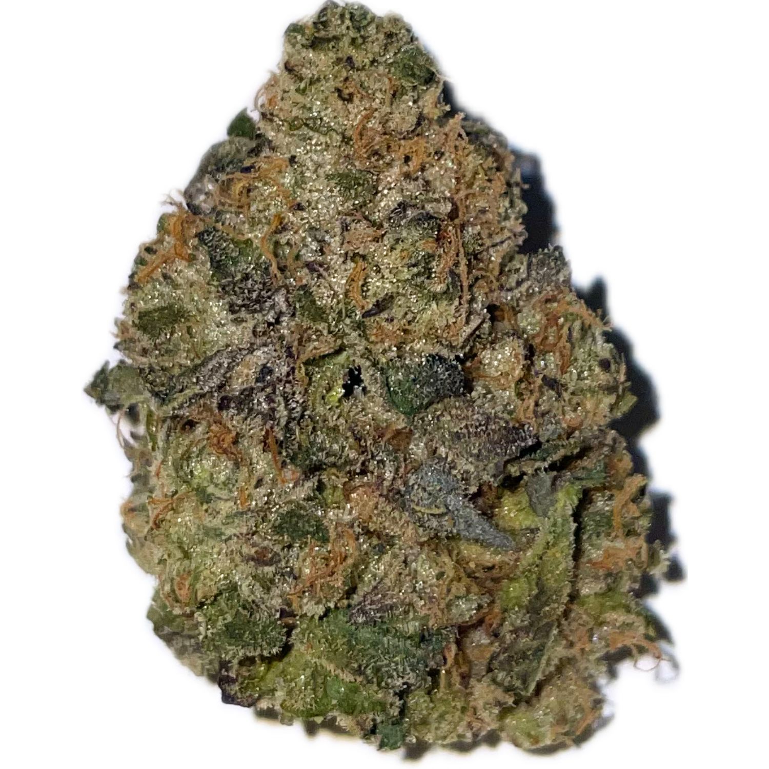 Photograph of product: Sudzz - 14g