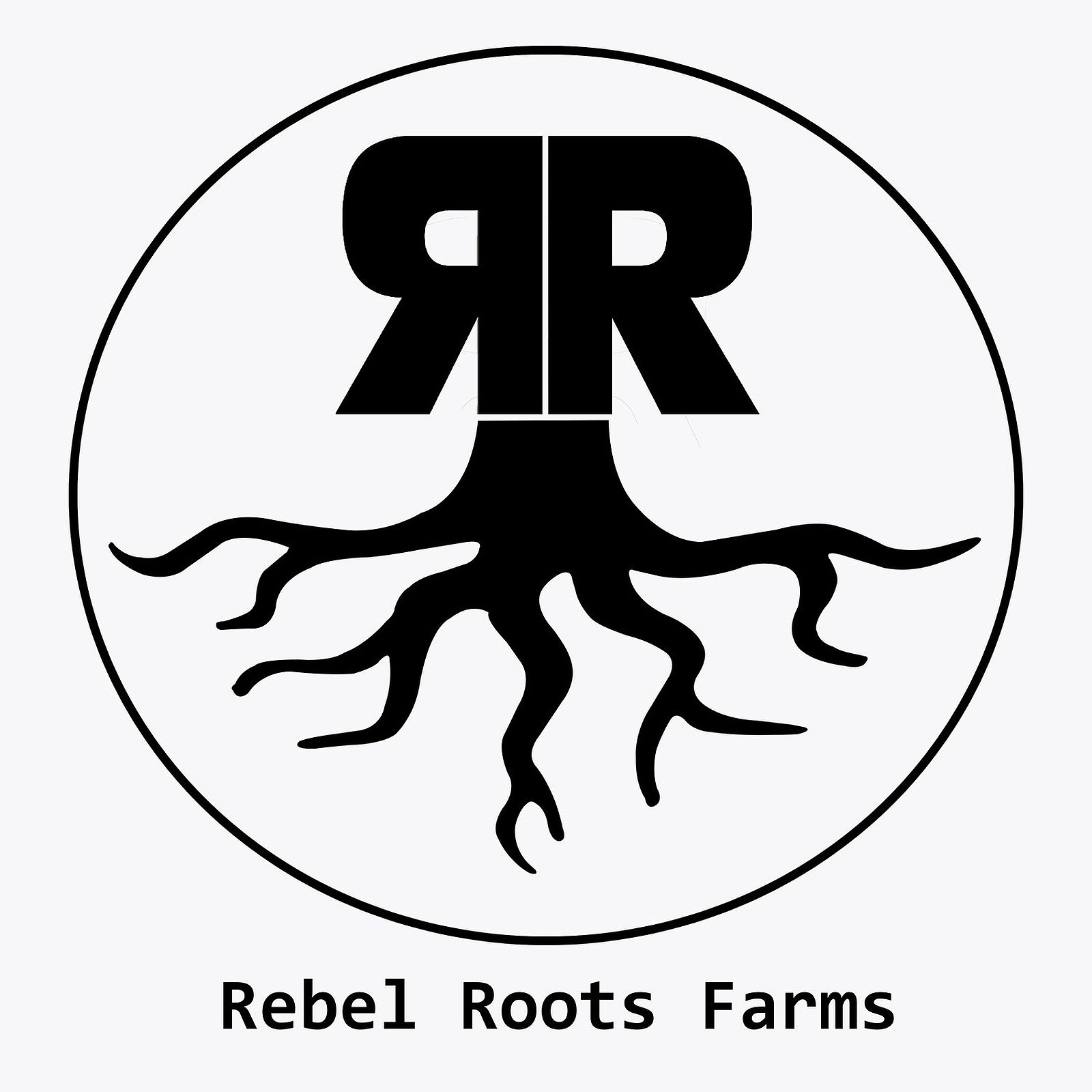 Photograph of Product: Rocket Fuel 1G RSO