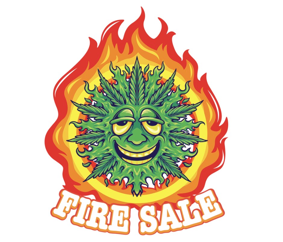 Photograph of product: FIRE SALE - FLOWER - 14G - Oui'd - FROSTY GELATO