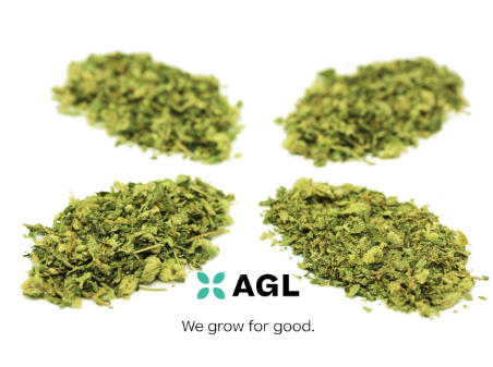 Photograph of product: AGL: Sherb Co 7g Smalls (I) 00503