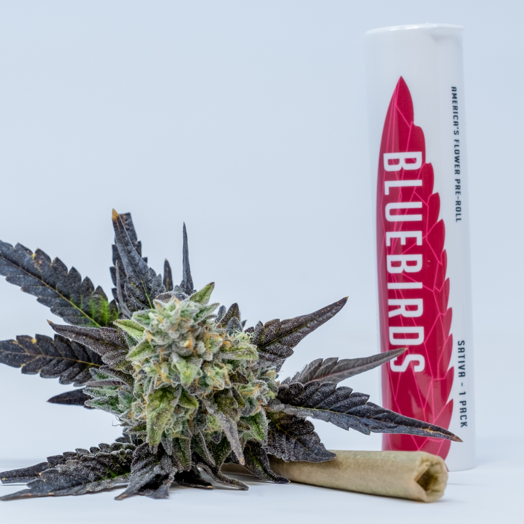 Photograph of product: DRH BlueBirds Dante's Inferno (I) Pre-Roll 1g