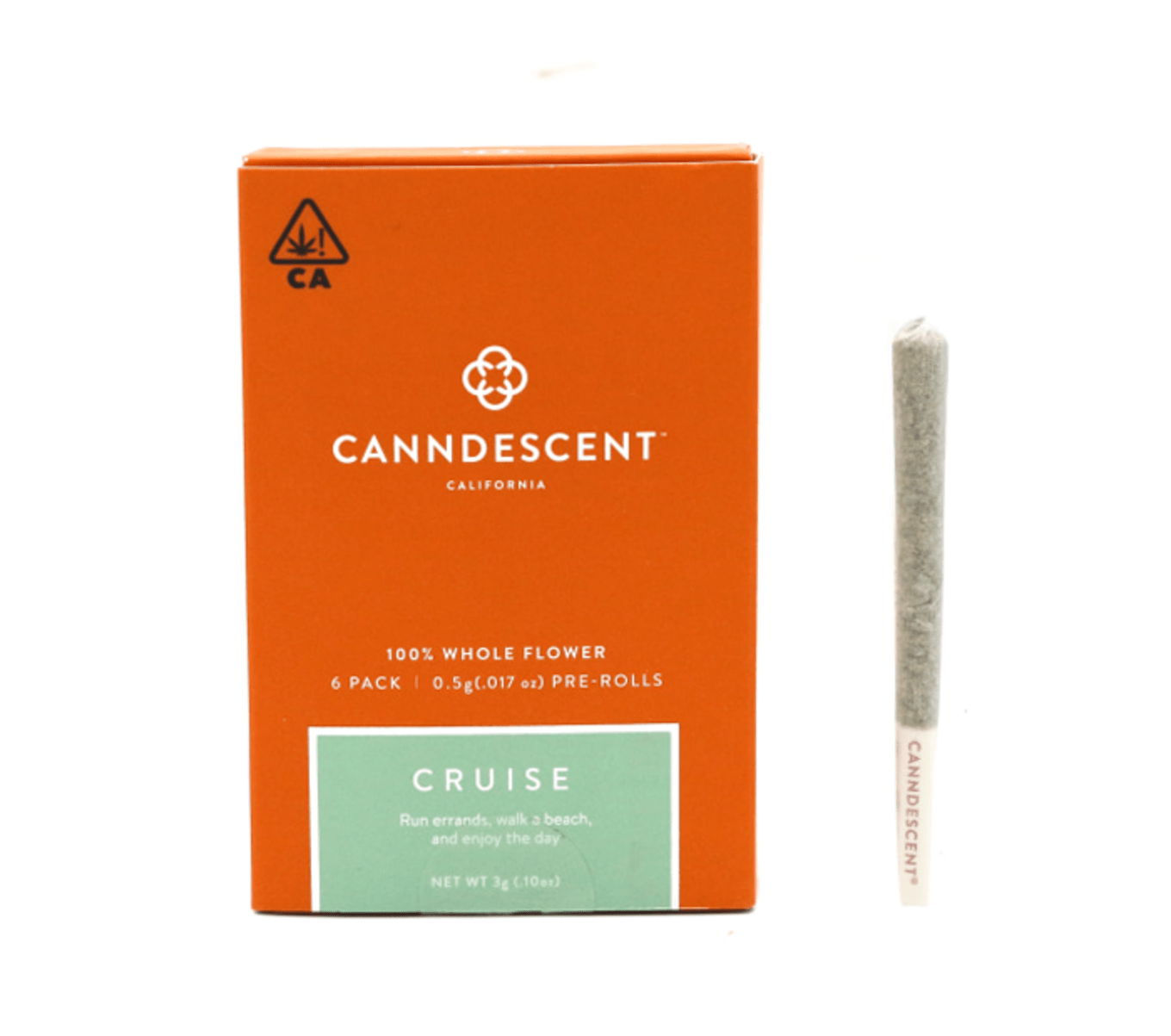 Photograph of product: Cruise - 6ct