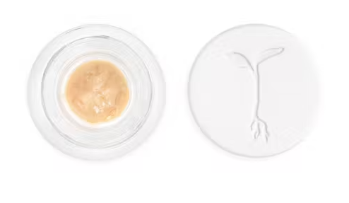 Photograph of product: Og Kush Solventless Live Rosin [H]