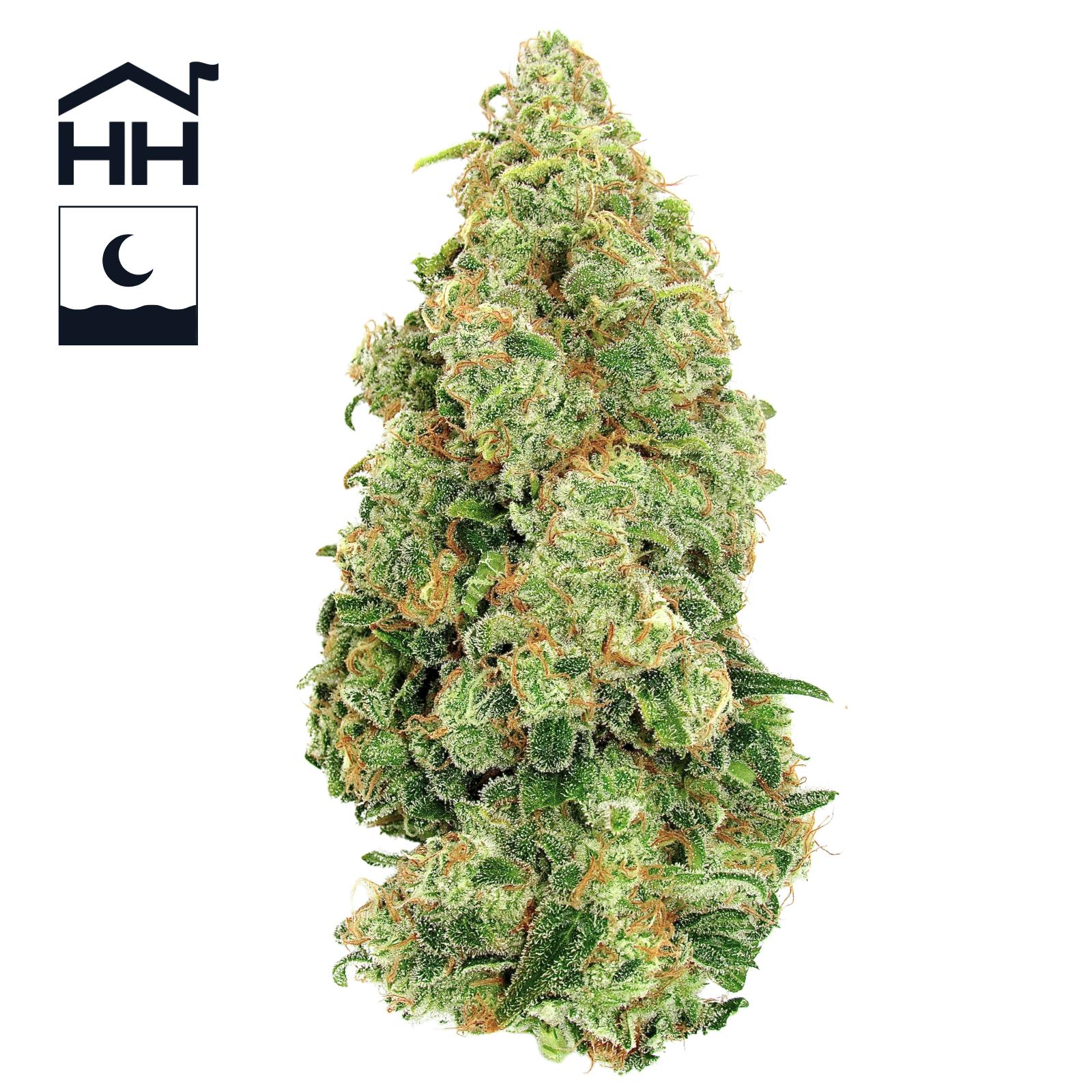 Photograph of product: Papaya Cake | Flower | - 7g