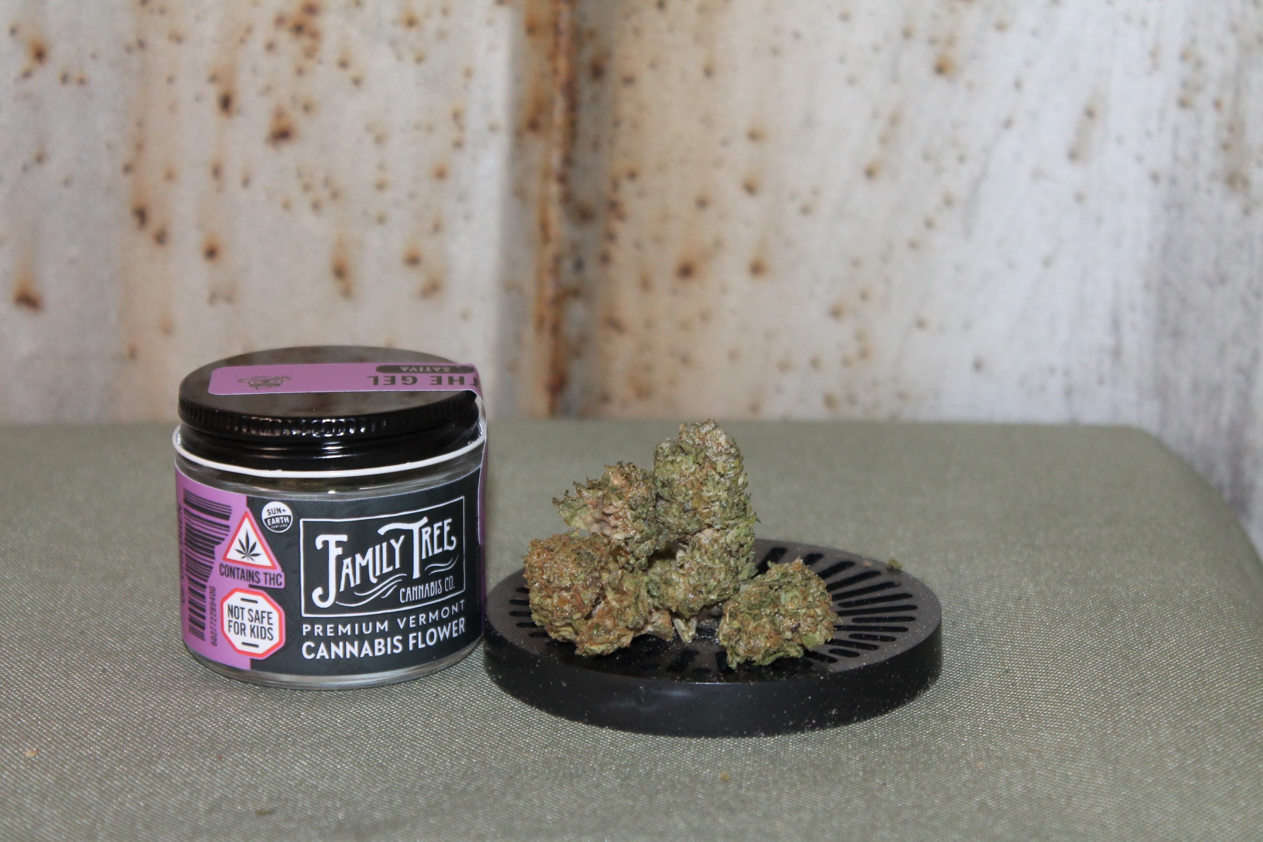 Photograph of Product: Family Tree I The Gel - 3.5g