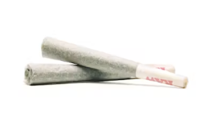 Photograph of product: Organic Theory | Lurch's Curse - 1g (2pk)