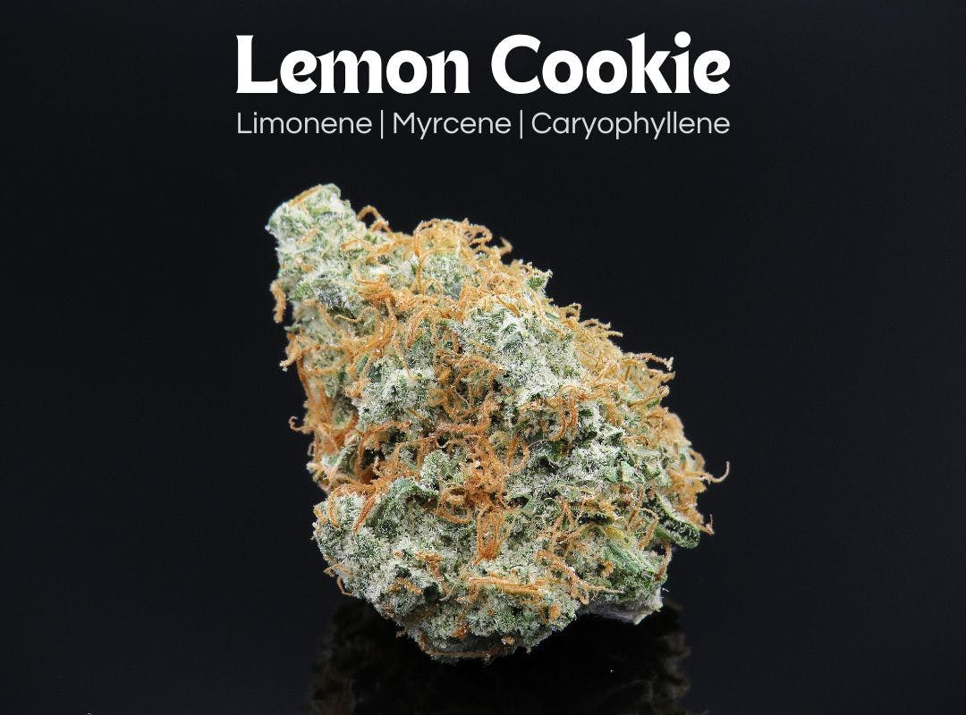 Photograph of product: Lemon Cookie - 