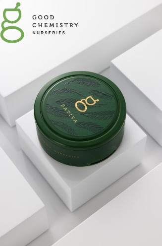 Photograph of product: Good Chemistry Nurseries Bluebells 3.5g