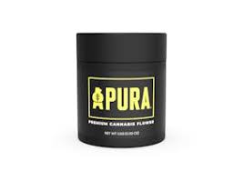 Photograph of product: Pura Purple Dino 3.5G Jar