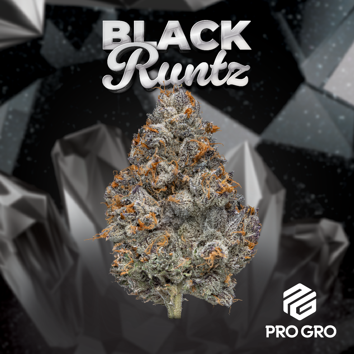 Photograph of product: Black Runtz Deli - 28g