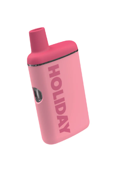 Photograph of product: Holiday | Weekend AIO