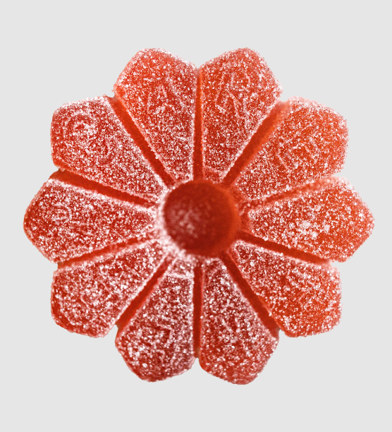 Photograph of product: Carefree Solventless Jelly | Strawberry | 1pk