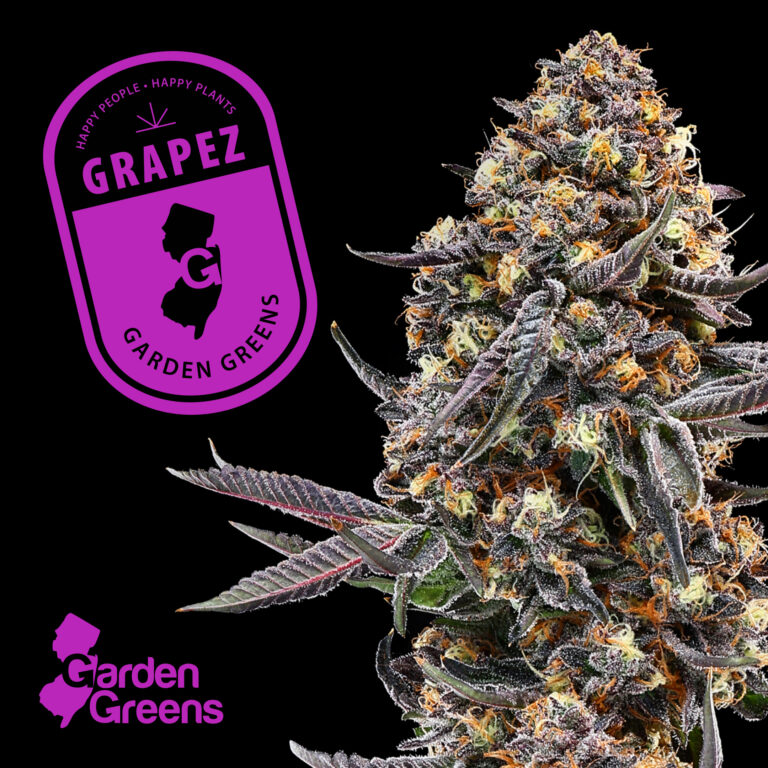 Photograph of product: Garden Greens - Grapez - 3.5g Flower