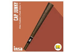 Photograph of product: Cap Junky - Hybrid - Blunt [1g] (INSA)