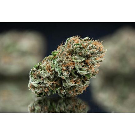 Photograph of product: Black Cherry - 