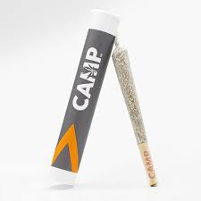 Photograph of product: Bahama Mama Pre-Roll 1g