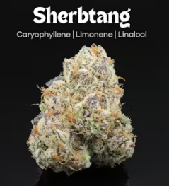 Photograph of product: Sherbtang 14.15g