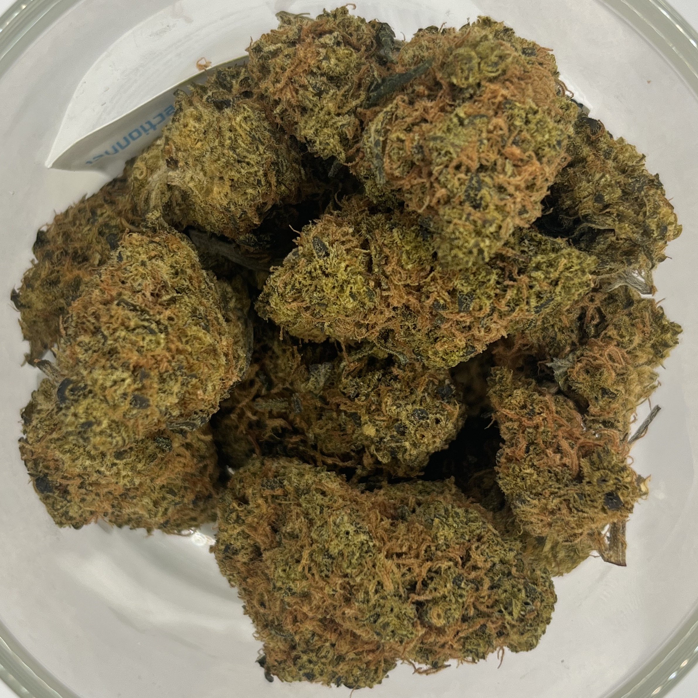 Photograph of product: Purple Punch AF - 1g