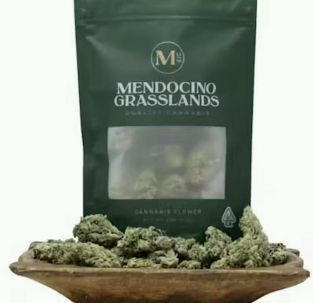 Photograph of product: Mango Mintality 7g Bag - 