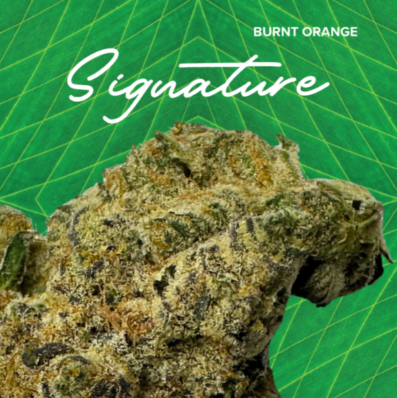 Photograph of product: Signature | Burnt Orange | 3.5g