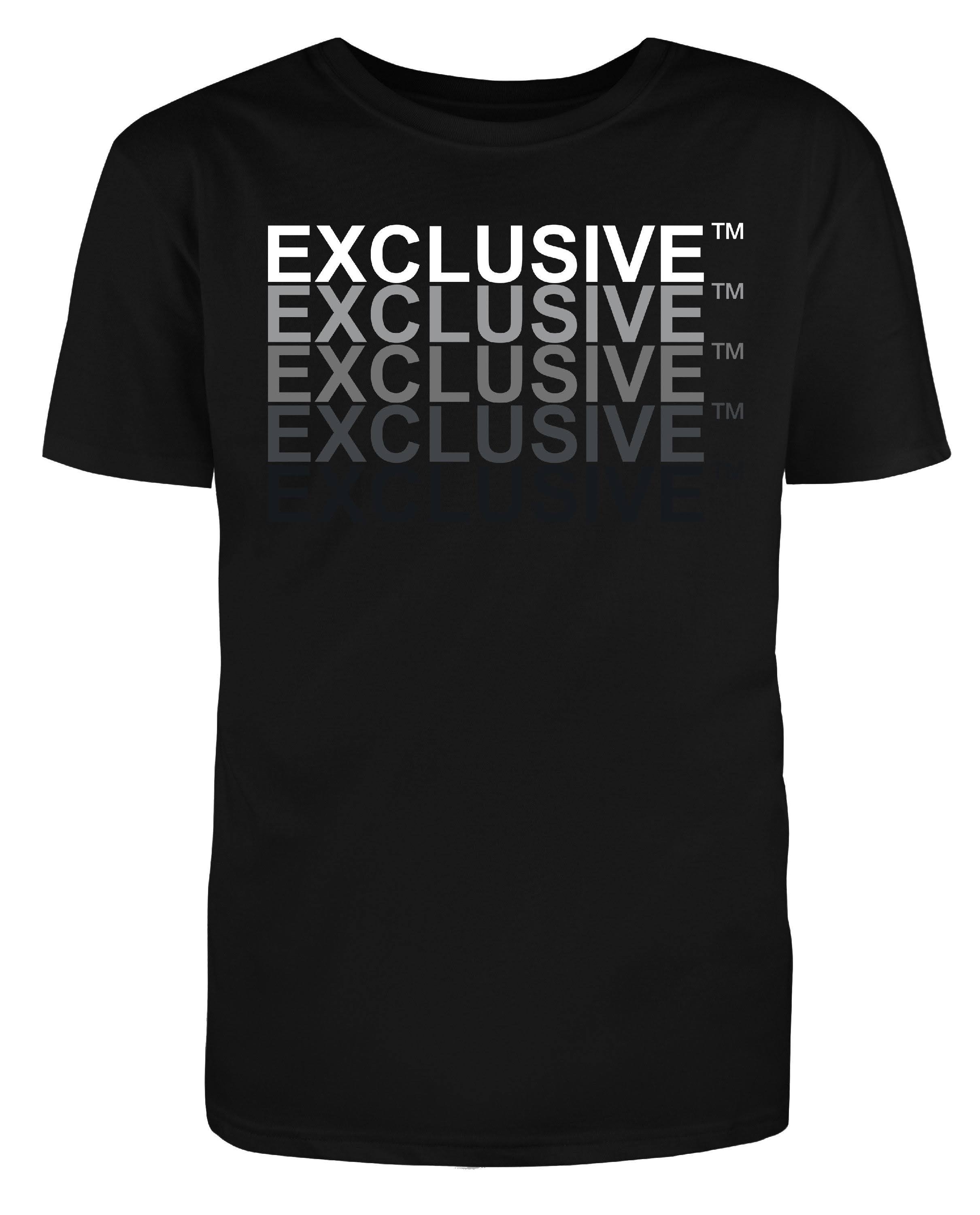 Photograph of product: Exclusive Faded Logo T Shirt - S