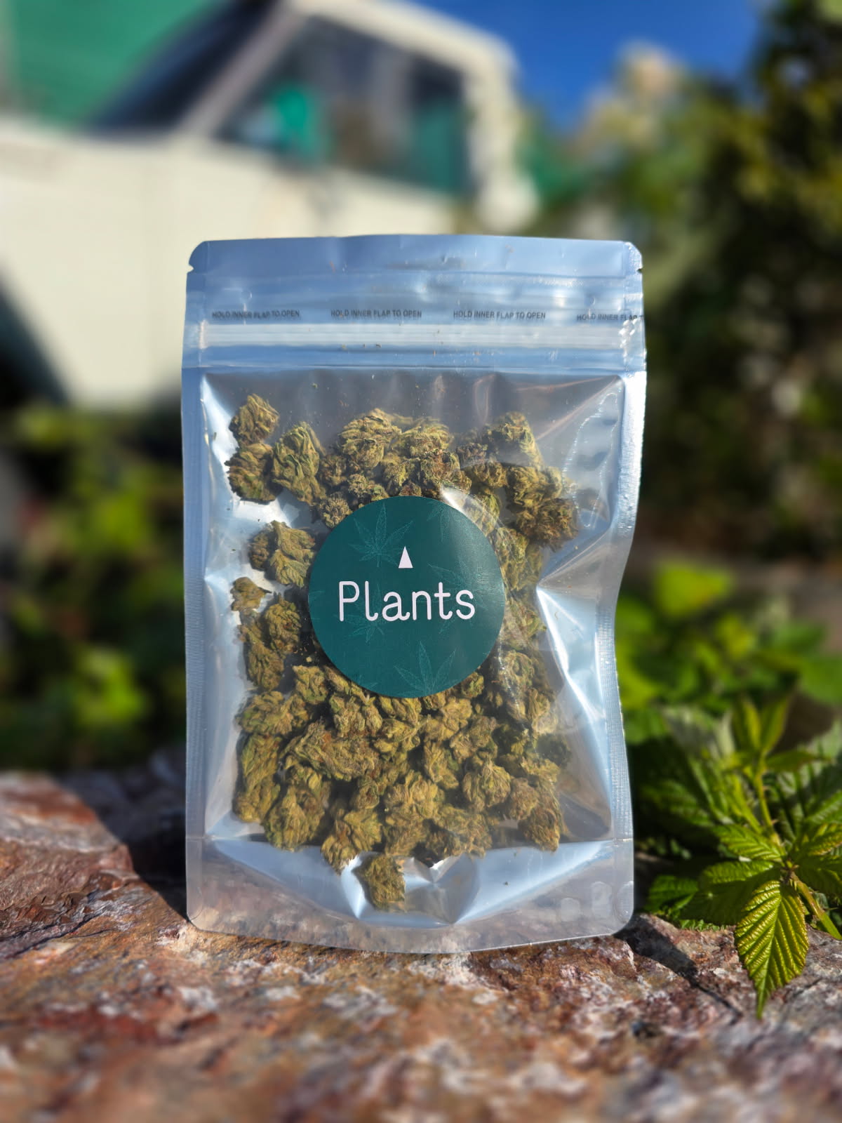 Photograph of product: P-85 SMALLS 3.5 G