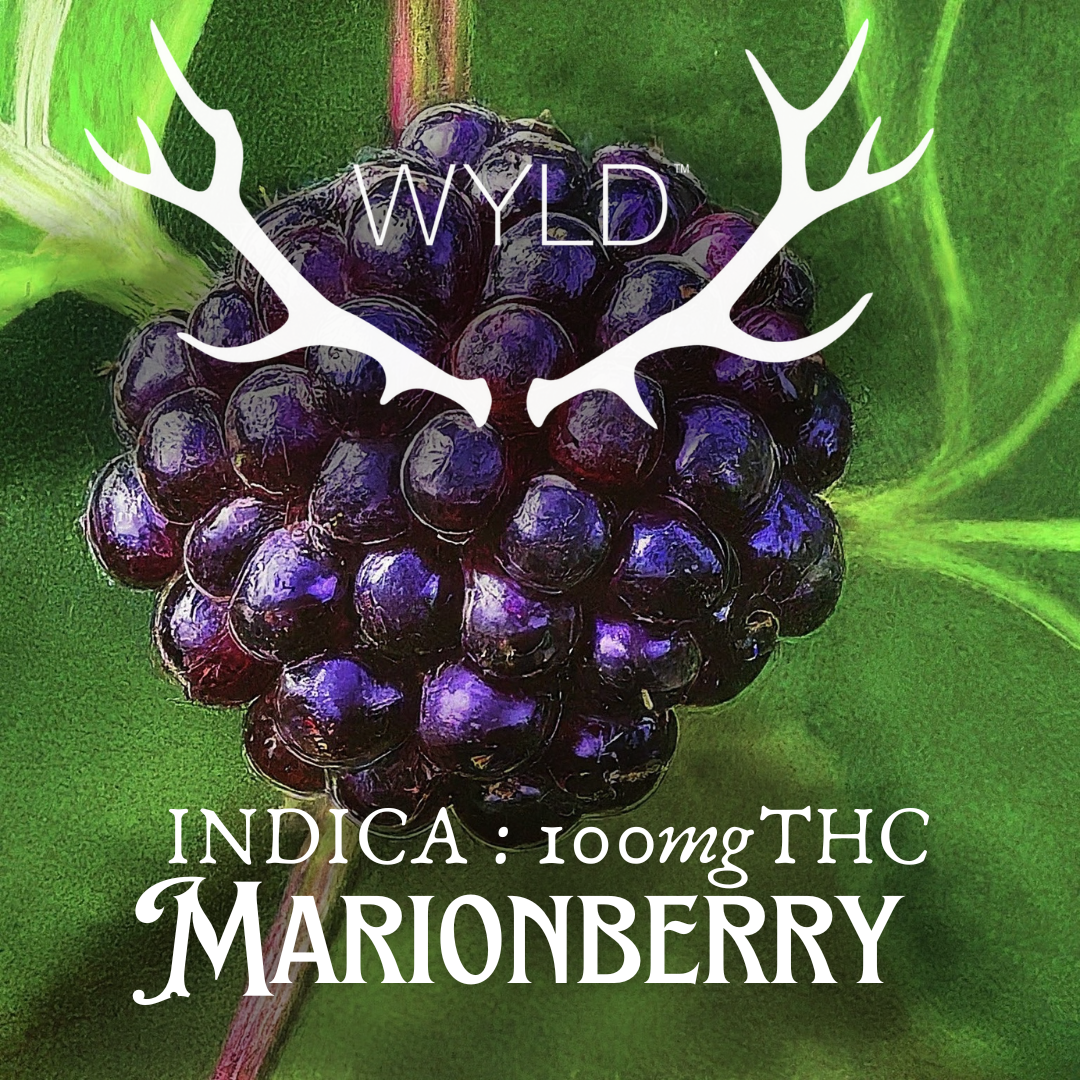 Photograph of product: WYLD - Marionberry 100mg Gummies