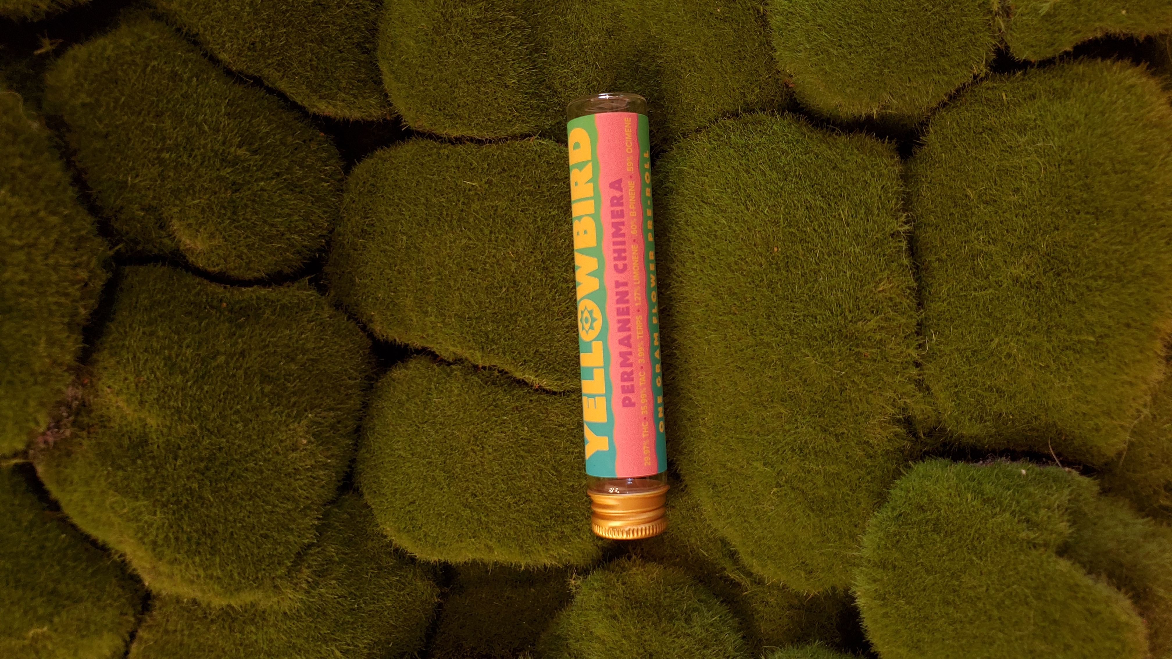 Photograph of product: Pre Roll Single | Permanent Chimera | Yellowbird