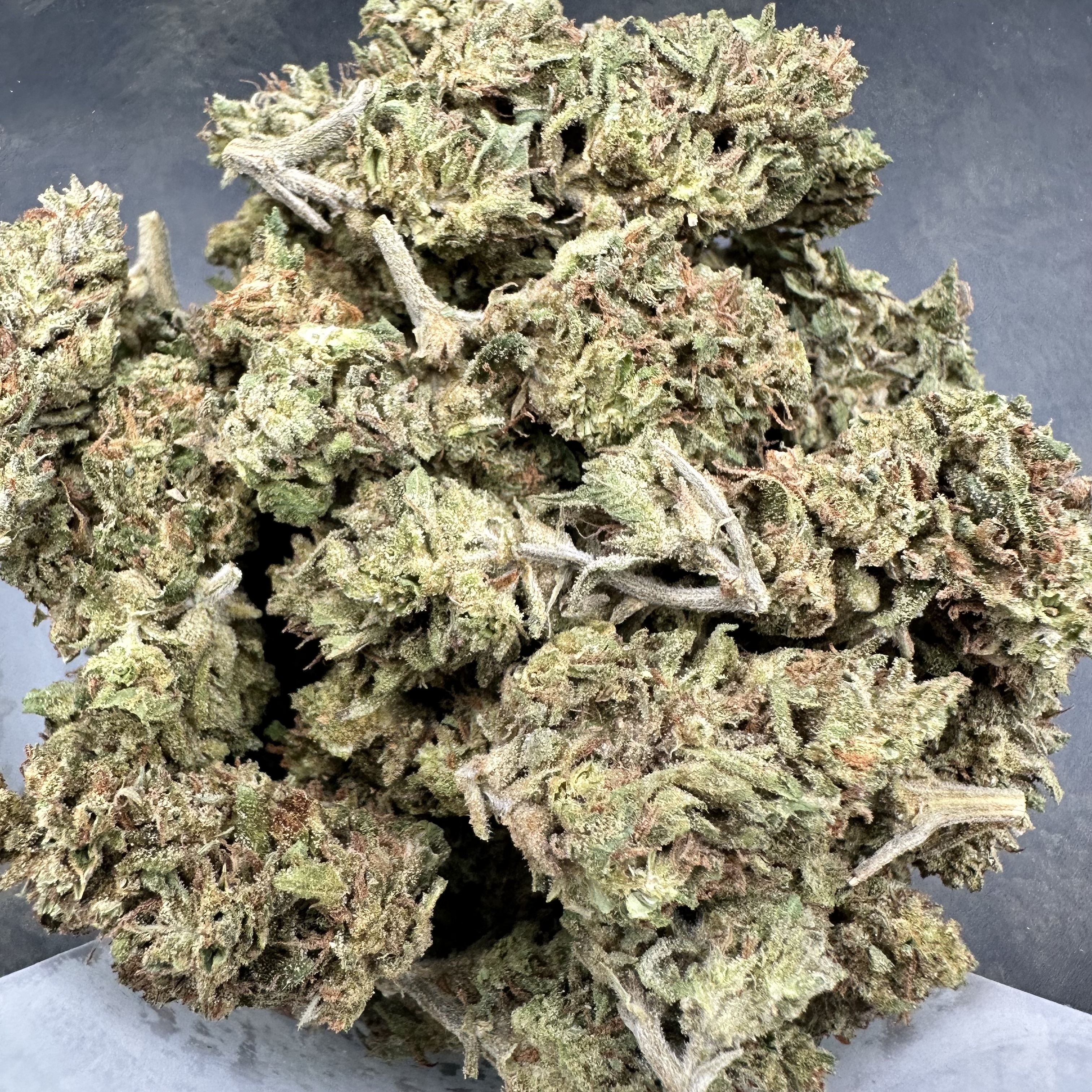 Photograph of product: $50 GMP Flower - Gopher Glue - 28g