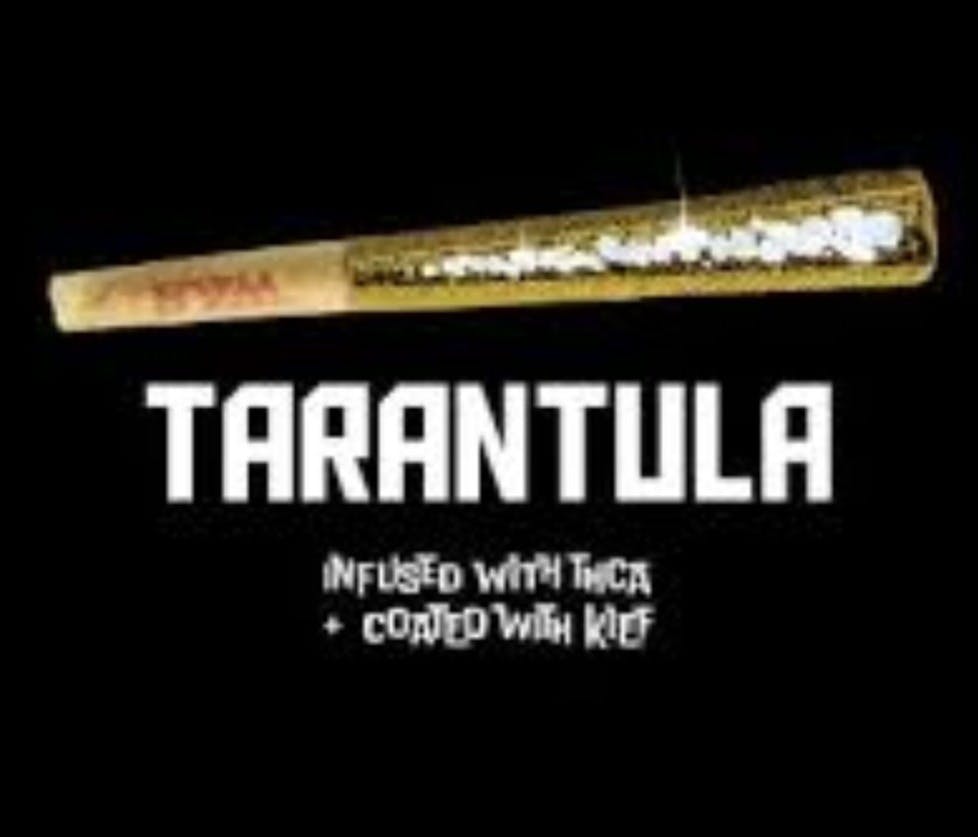 Photograph of product: CRUDE BOYS TARANTULA | TROPICAL KUSH | INFUSED PREROLL | .6G