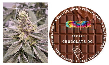 Photograph of product: Chocolate OG Preroll