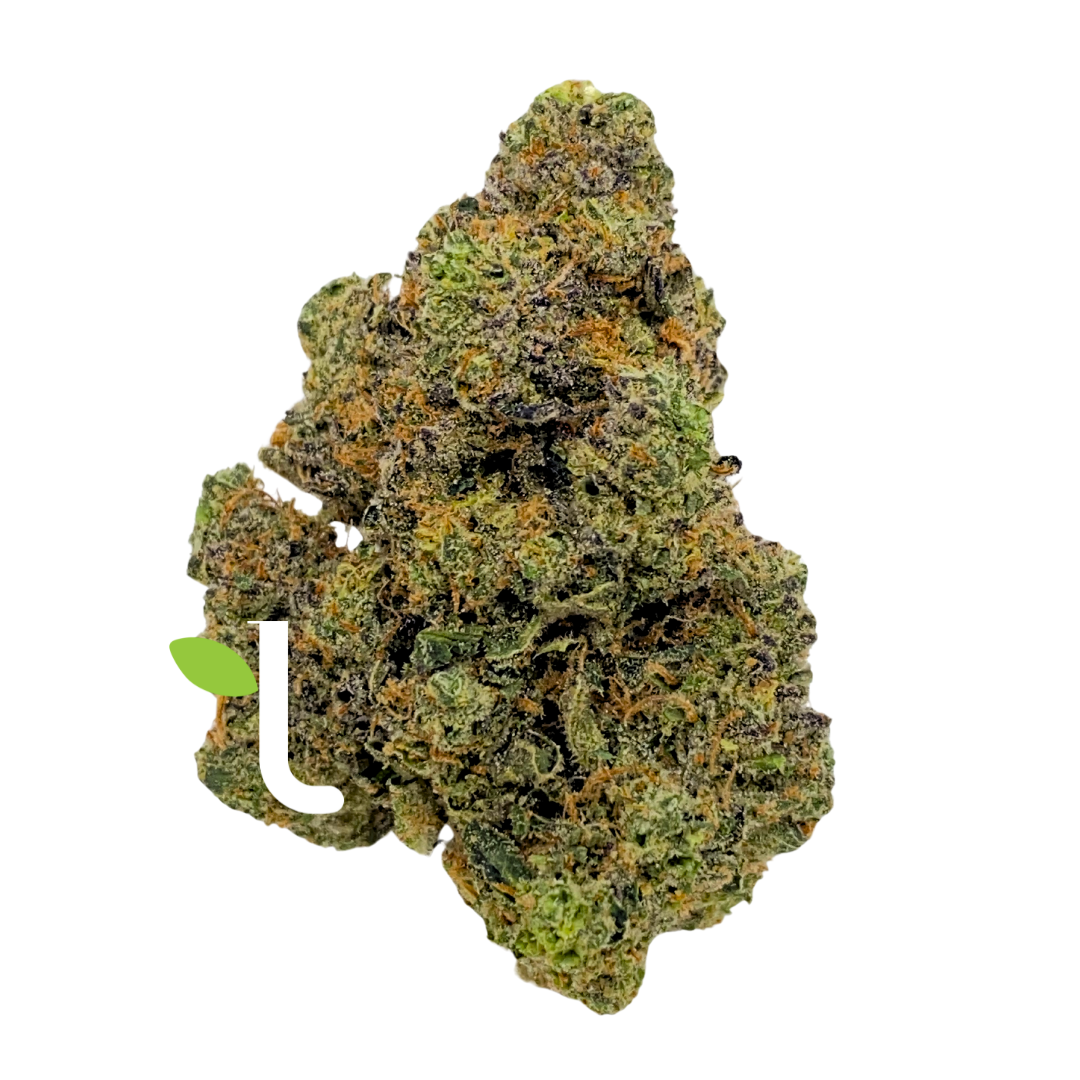 Photograph of product: Greasy Runtz | Flower - 1g