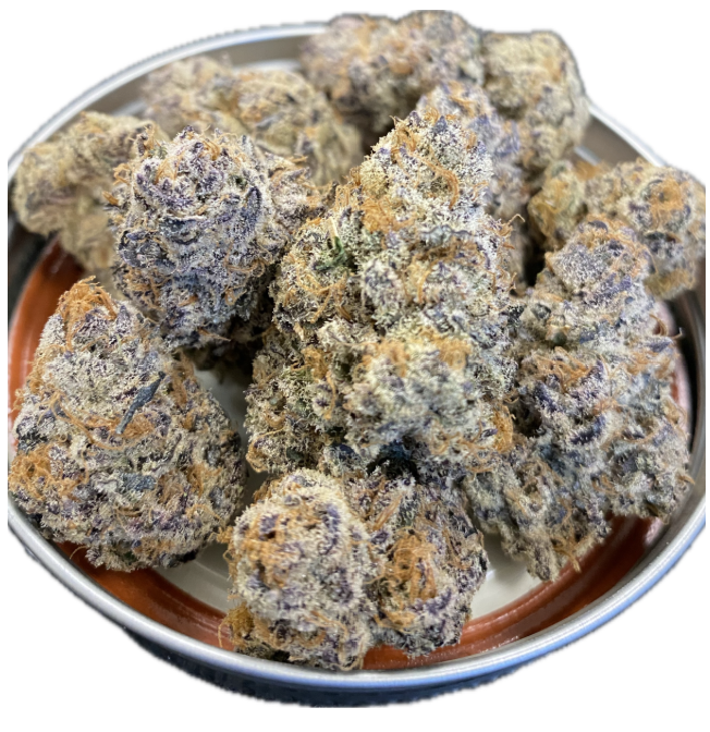 Photograph of product: Mio | Coastal Healing - 3.5g