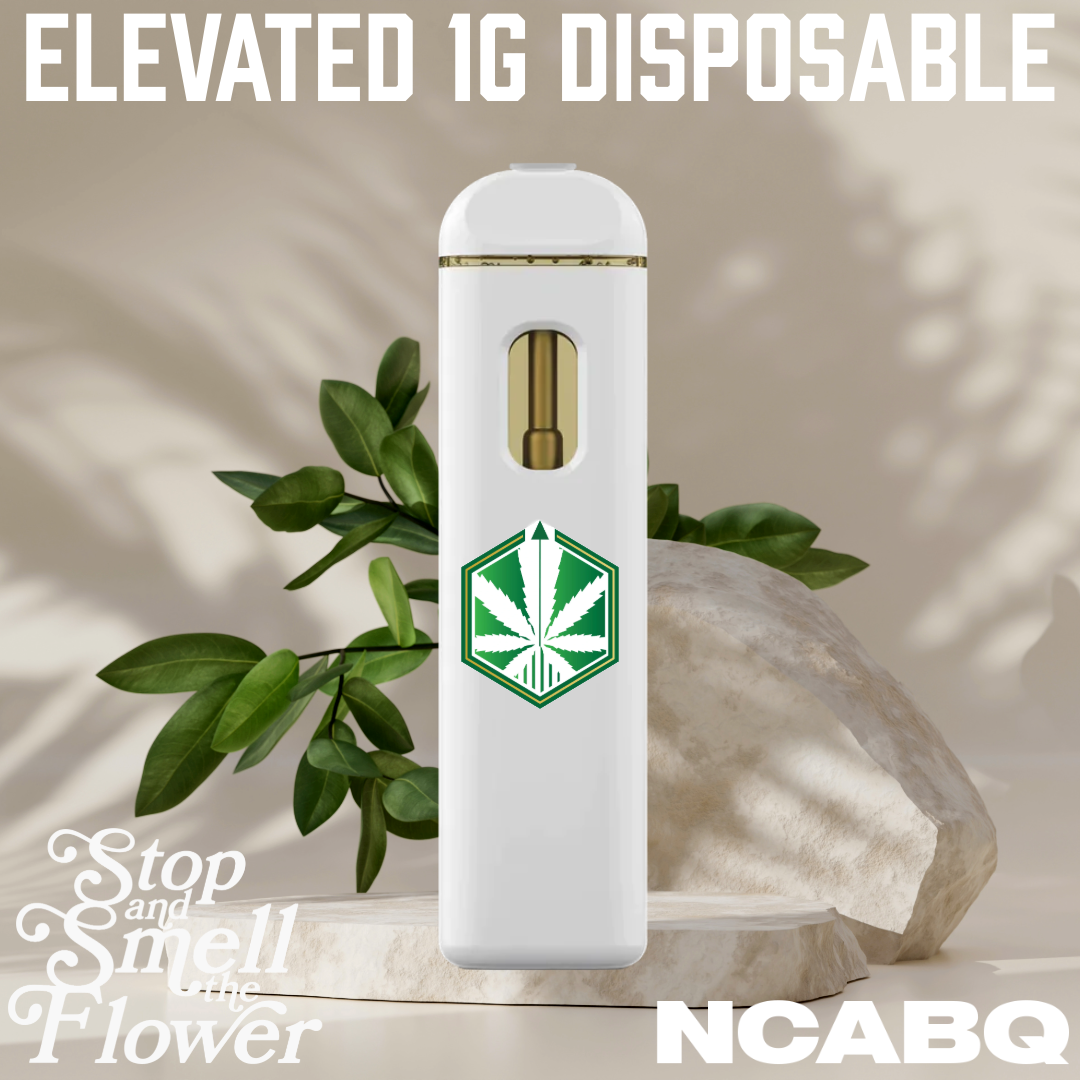 Photograph of product: Elevated - 1g Disposable Cart - Sour Diesel