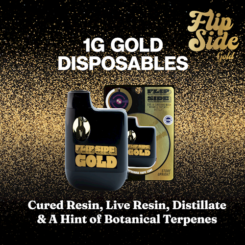 Photograph of product: Tangie Banana Live Resin Gold Disposable | 1g (DOH)