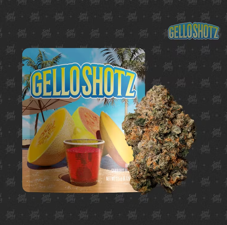Photograph of product: Seed Junky Genetics - Gello Shotz - 3.5g