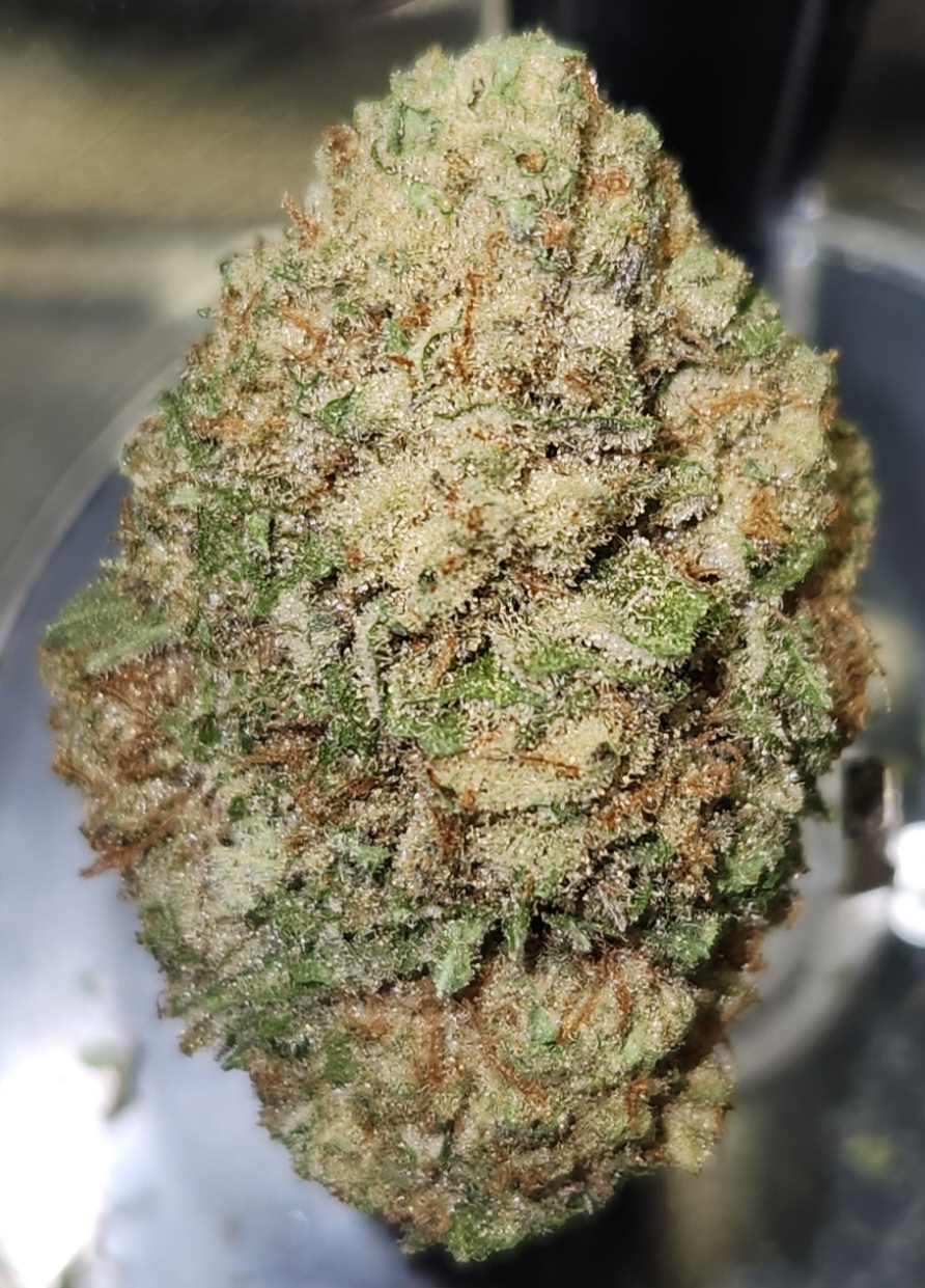 Photograph of product: Girl Scout Cookies - (I) - 28g