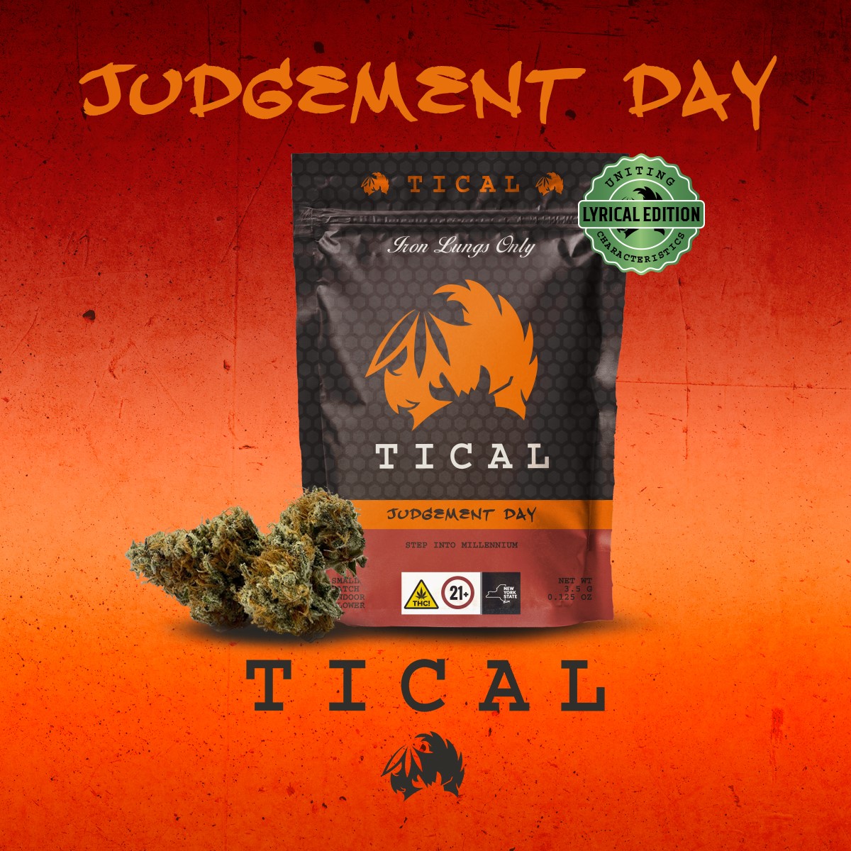 Photograph of Product: Judgement Day | 3.5g Flower | Tical