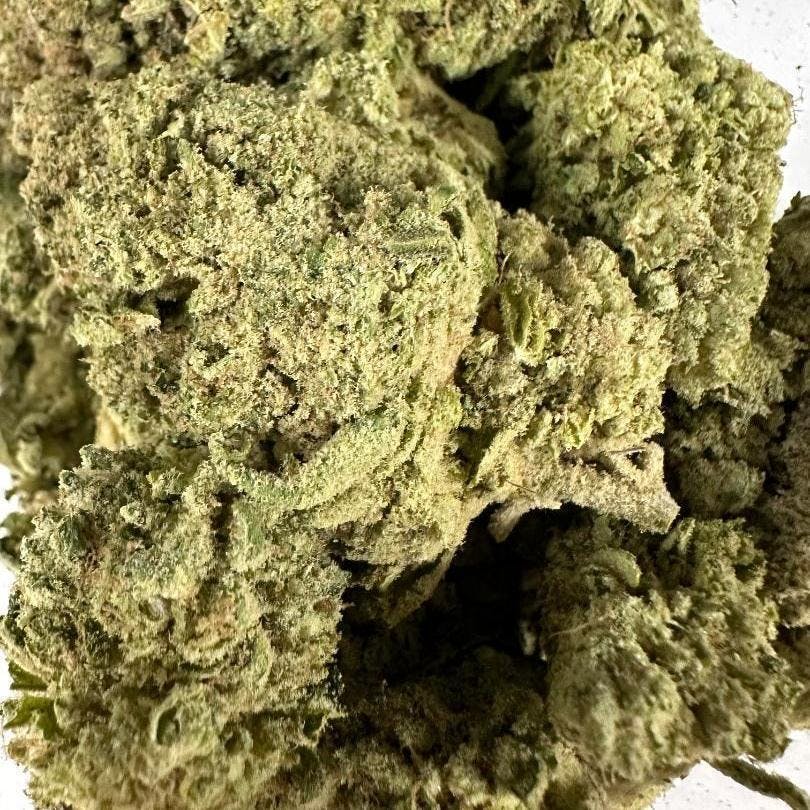 Photograph of product: Crossbow | White Label