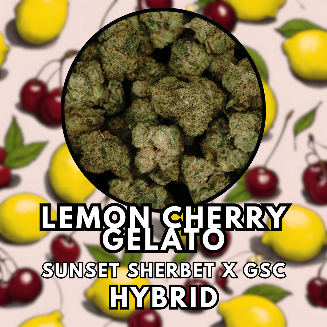 Photograph of product: Flower - Lemon Cherry Gelato - Tier 2 - 28g