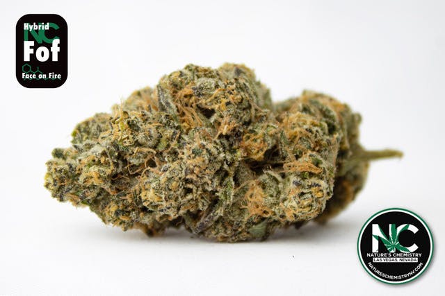 Photograph of product: Face on Fire - 3.5g - NCC - Natures Chemistry
