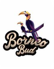Photograph of product: Borneo Bud | 3.5g | IPA