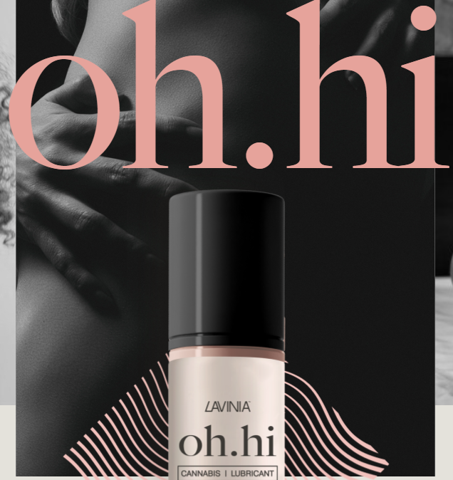 Photograph of product: OH.HI - SILICONE BASED LUBRICANT 2ML - LAVINIA
