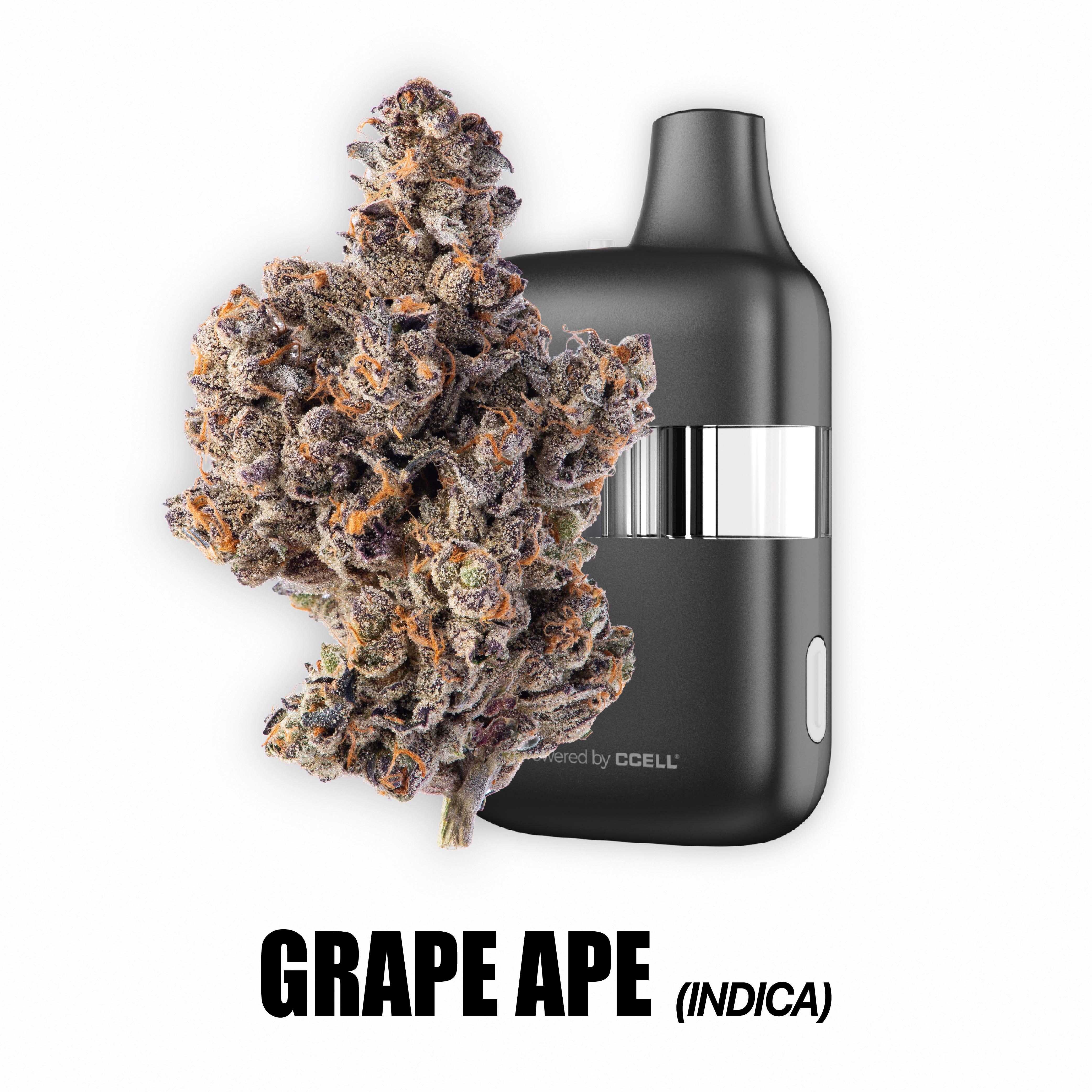 Photograph of product: OFFBRAND | Grape Ape Oui'd Disposable | 2g