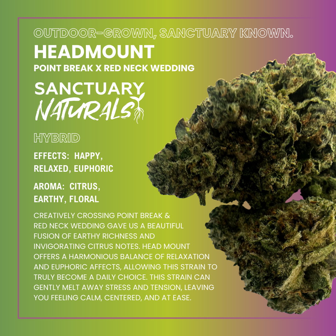 Photograph of product: Sanctuary Naturals 3.5g Head Mount