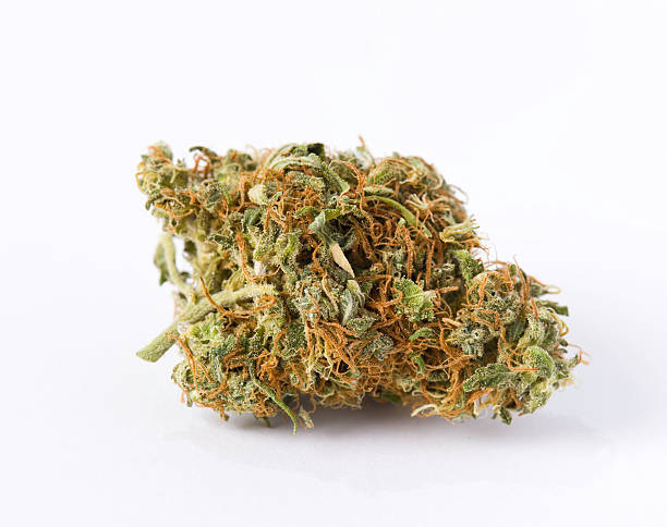 Photograph of product: Snowblower | $39 Oz Special - g