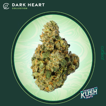 Photograph of product: Dark Heart Collection Whole Flower 3.5g Foreign Kush Mints (I) 00921 TC 34.402% (3.5g)