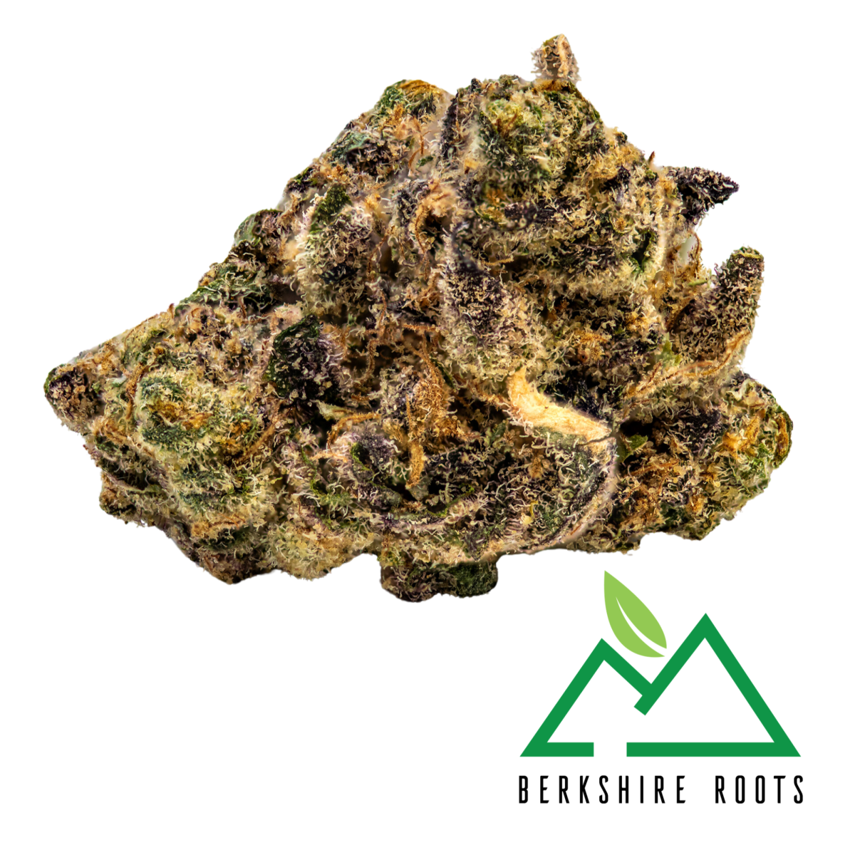 Photograph of product: Tropicana Banana Buds | 3.5g