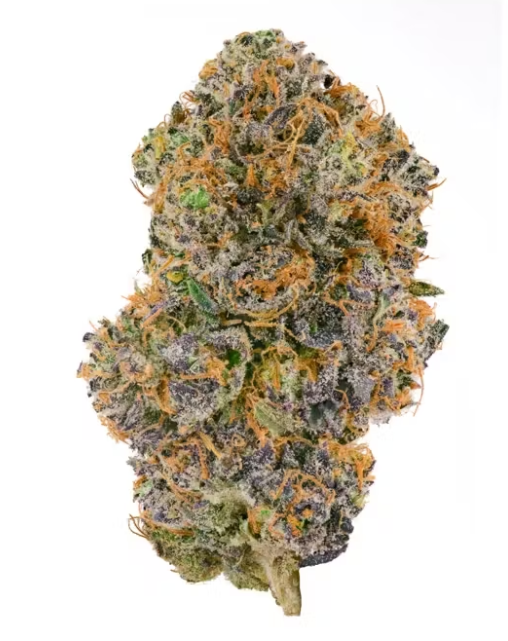 Photograph of product: Shake - Swiss Watch - 7g